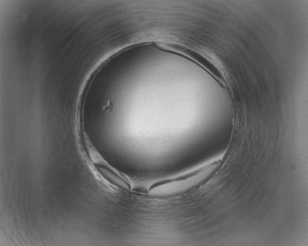 X0000073461144200608111503