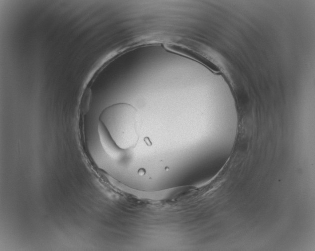 X0000073461146200608111503