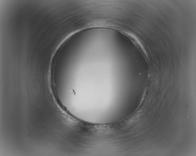 X0000073461147200608111503