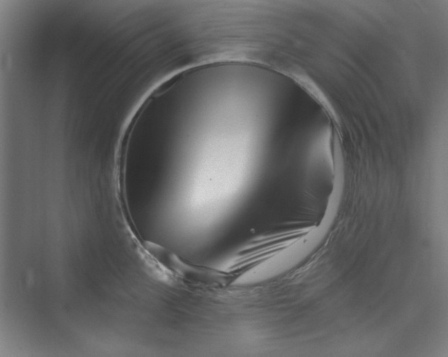 X0000073461148200608111503