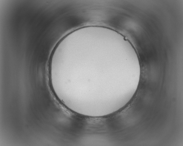 X0000073461150200608111503