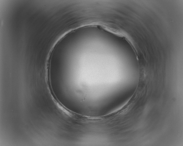 X0000073461151200608111503