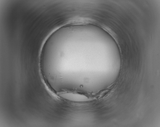 X0000073461152200608111503