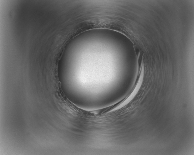 X0000073461153200608111503