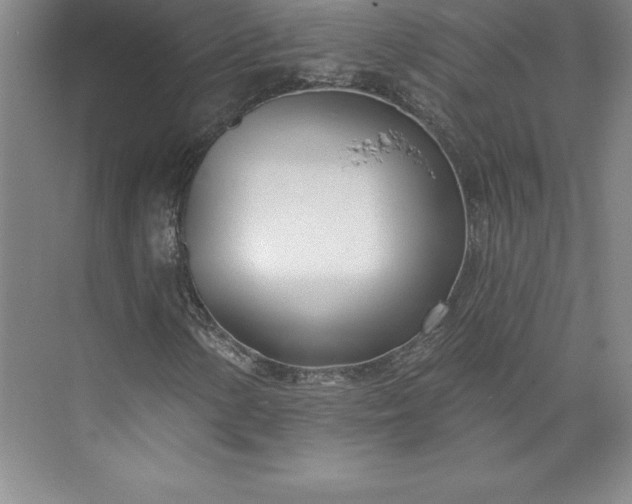 X0000073461154200608111502