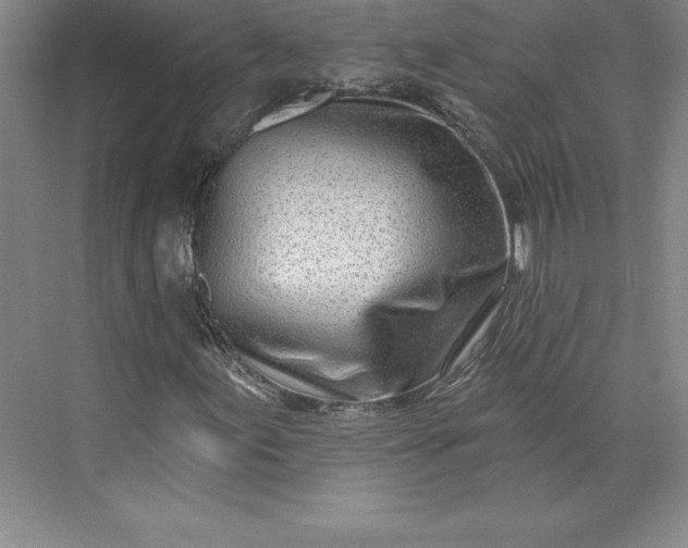 X0000073461155200608111502