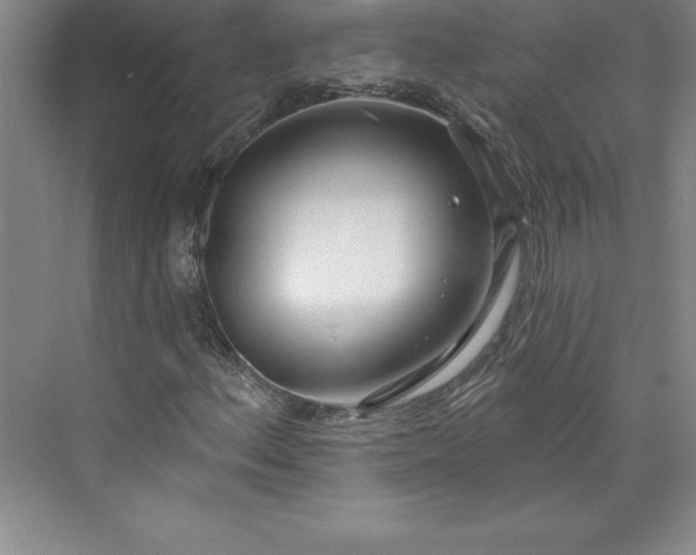 X0000073461156200608111502