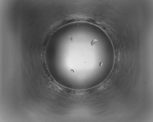 X0000073461157200608111502