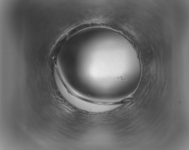 X0000073461160200608111502