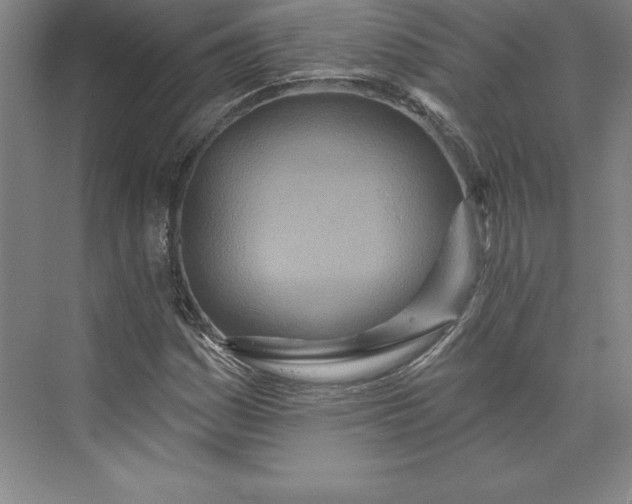 X0000073461161200608111502