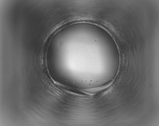 X0000073461165200608111502