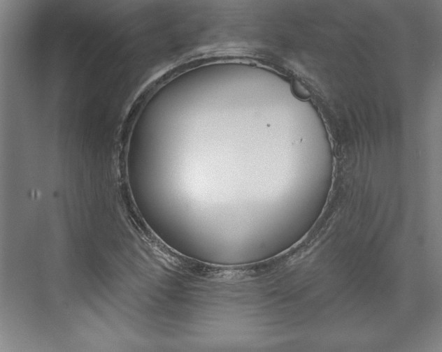 X0000073461166200608111502