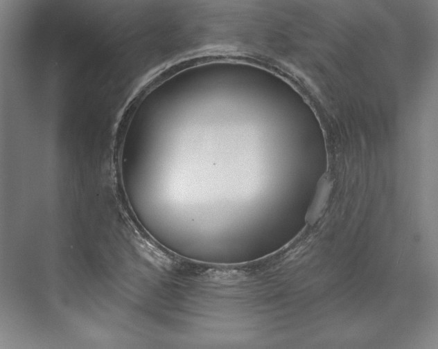 X0000073461168200608111502