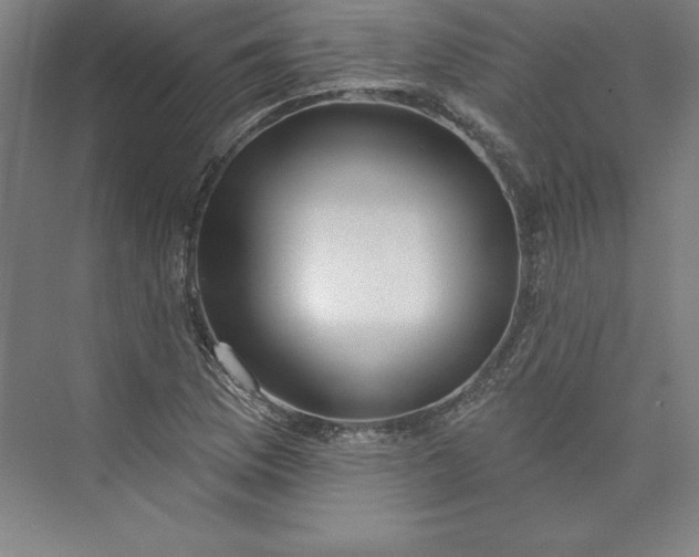 X0000073461169200608111502