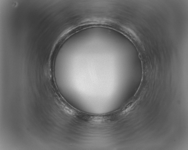 X0000073461172200608111502