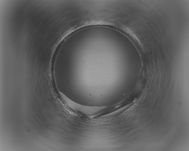 X0000073461173200608111502