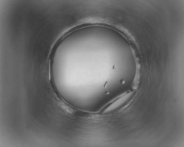 X0000073461175200608111502