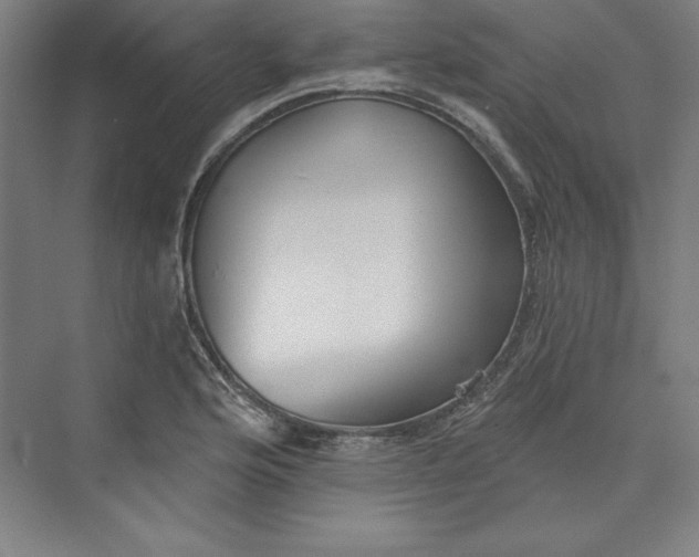 X0000073461176200608111502