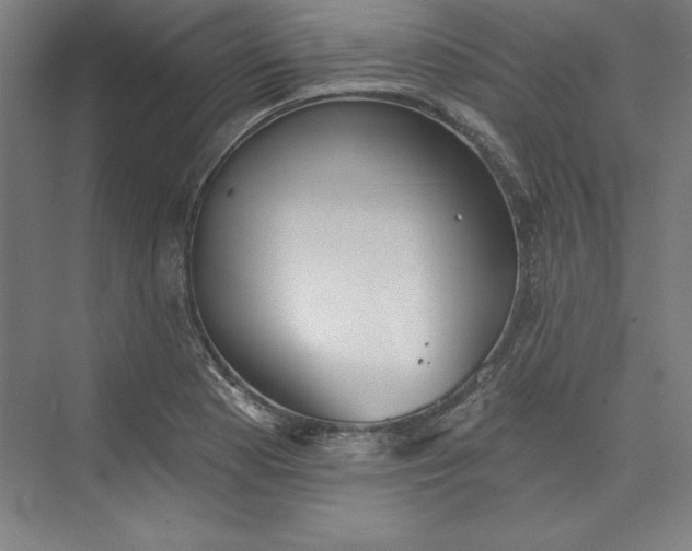 X0000073461177200608111502