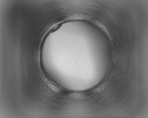 X0000073461179200608111502