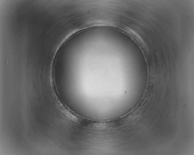 X0000073461182200608111502