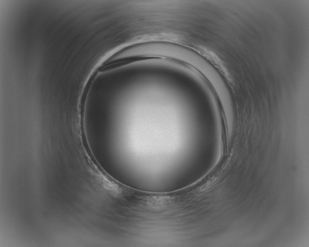 X0000073461184200608111502