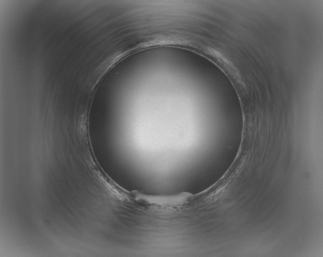 X0000073461185200608111502