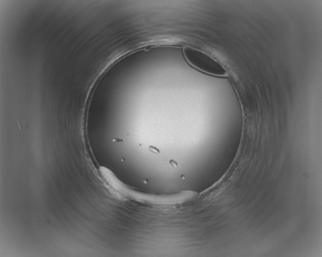 X0000073461186200608111502