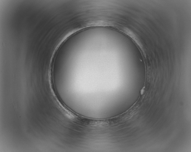 X0000073461187200608111502