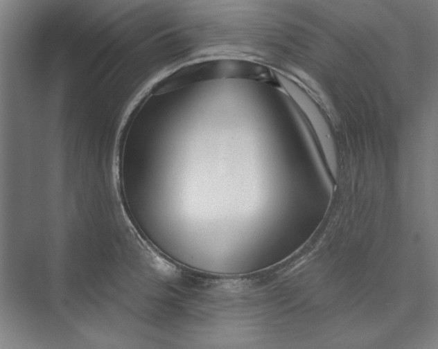 X0000073461188200608111502