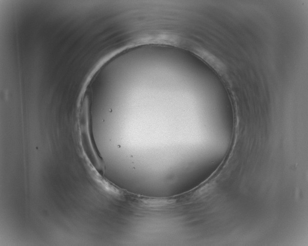 X0000073461200200608111502