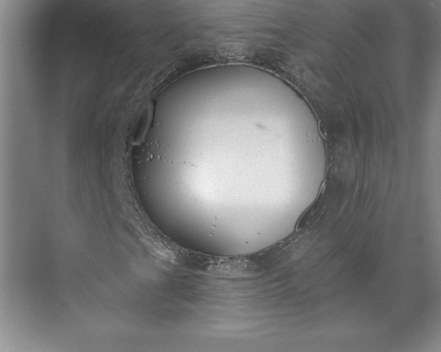 X0000073461201200608111501