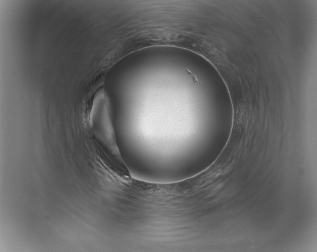 X0000073461202200608111501