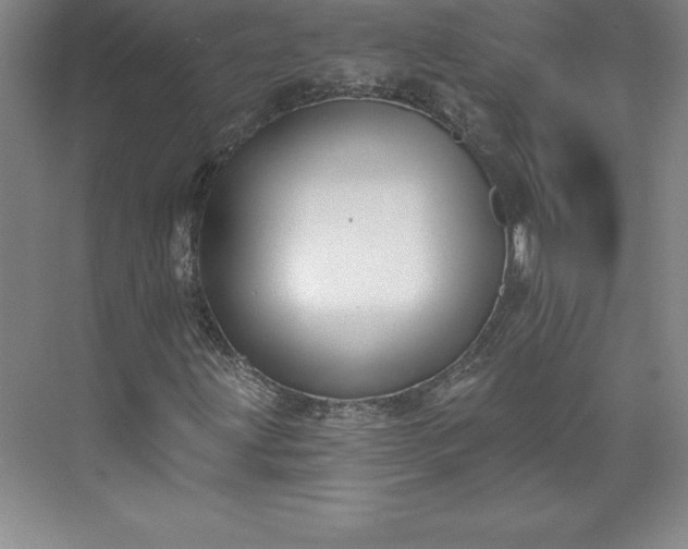 X0000073461203200608111501