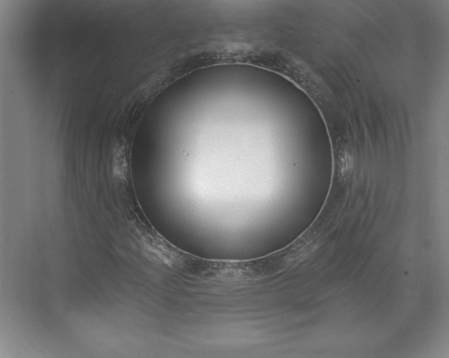 X0000073461204200608111501