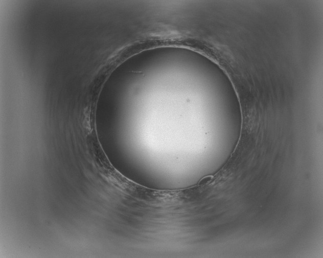 X0000073461205200608111501