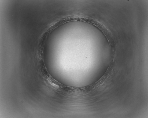 X0000073461207200608111501