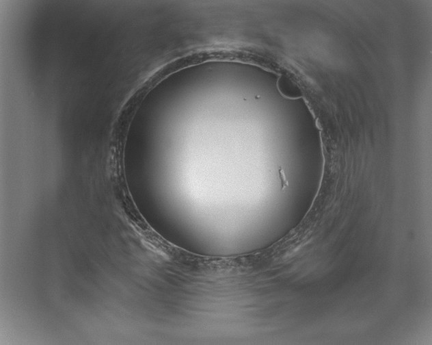 X0000073461208200608111501