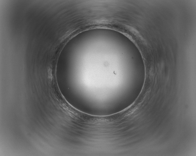 X0000073461209200608111501