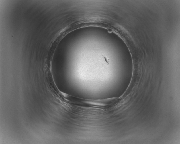 X0000073461210200608111501