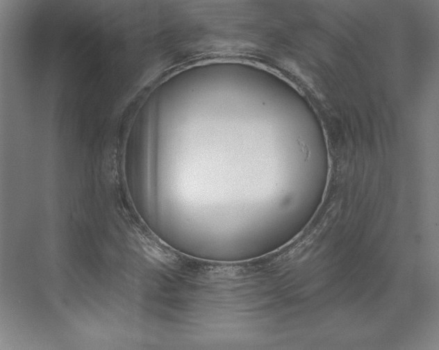 X0000073461211200608111501