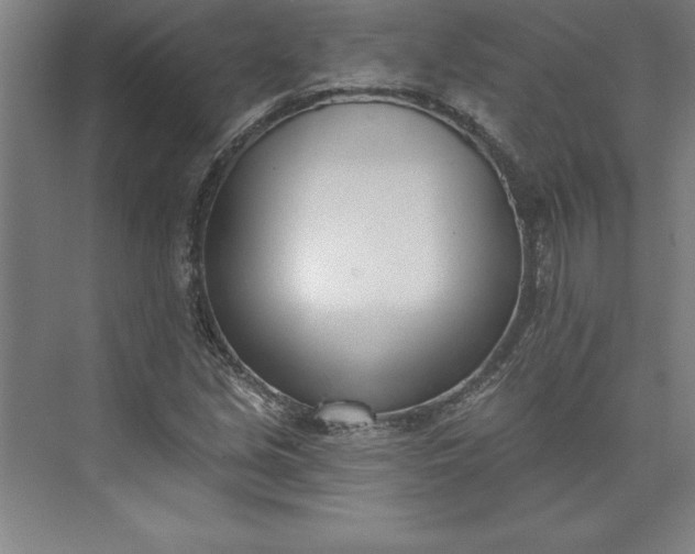 X0000073461213200608111501