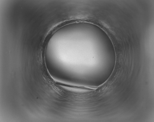 X0000073461214200608111501