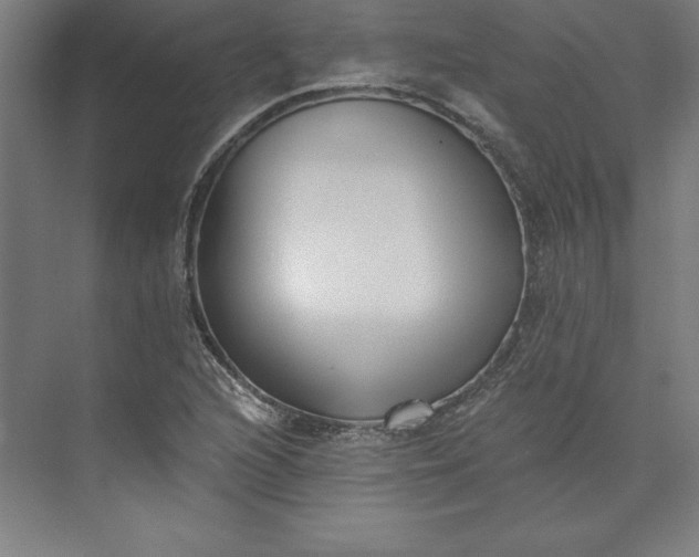 X0000073461216200608111501