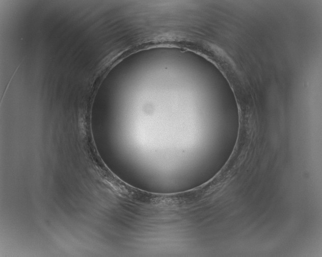 X0000073461217200608111501