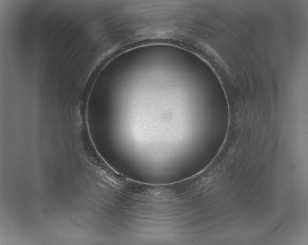 X0000073461218200608111501