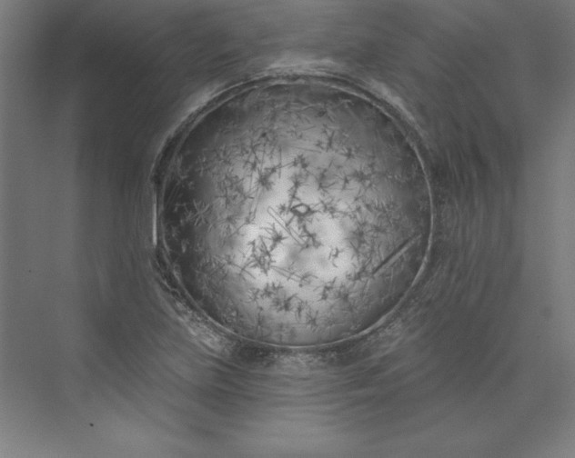 X0000073461219200608111501