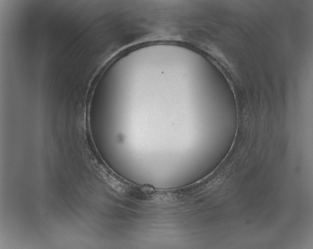 X0000073461220200608111501