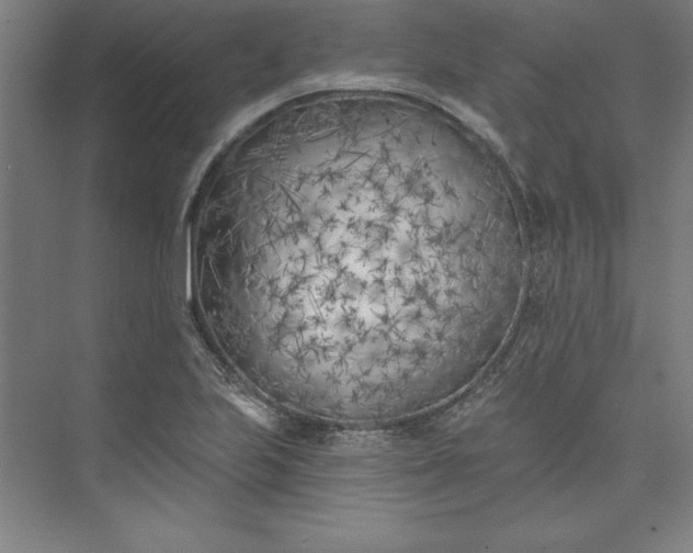 X0000073461223200608111501