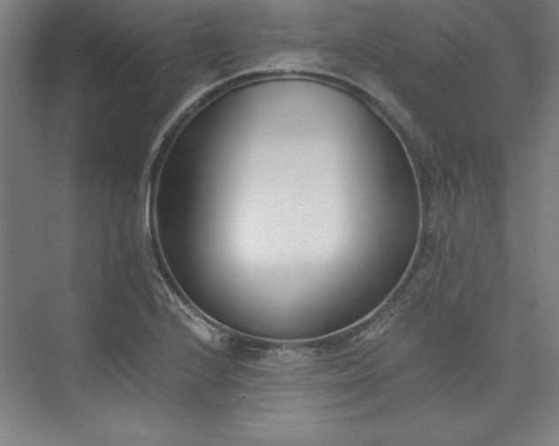 X0000073461224200608111501